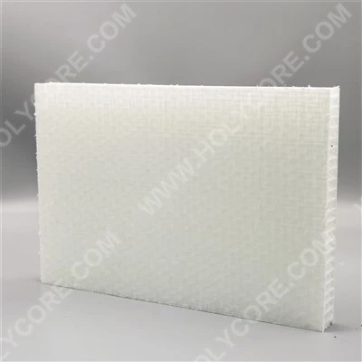 Panou termoplastic compozit